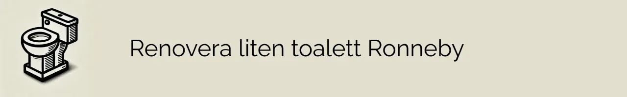 Renovera liten toalett Ronneby